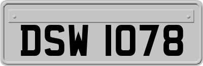 DSW1078