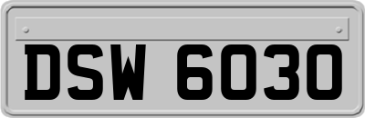 DSW6030