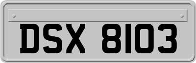 DSX8103