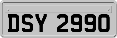DSY2990