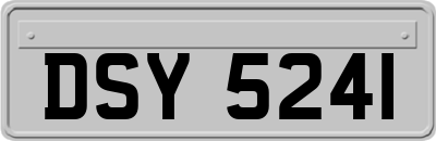 DSY5241