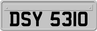 DSY5310