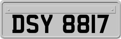 DSY8817