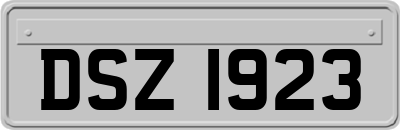 DSZ1923