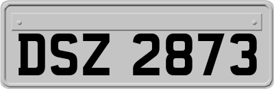 DSZ2873