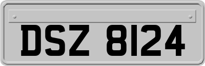 DSZ8124