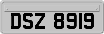 DSZ8919