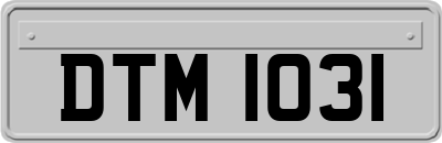 DTM1031