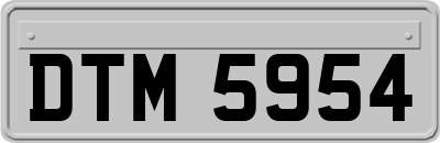 DTM5954