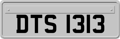 DTS1313