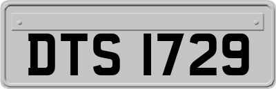 DTS1729