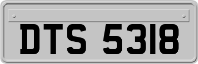 DTS5318