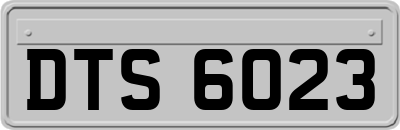 DTS6023