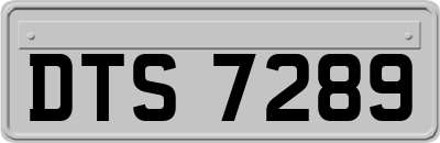 DTS7289