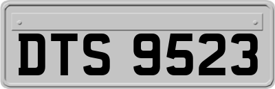 DTS9523