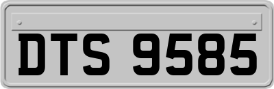DTS9585