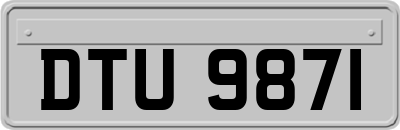 DTU9871