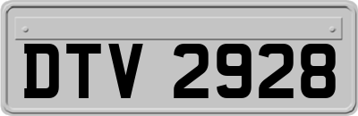 DTV2928
