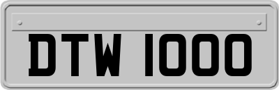 DTW1000