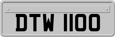 DTW1100