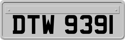 DTW9391