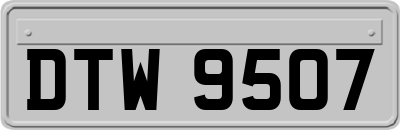DTW9507