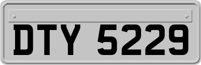 DTY5229