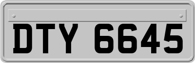 DTY6645
