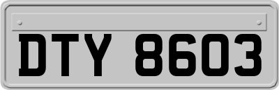DTY8603