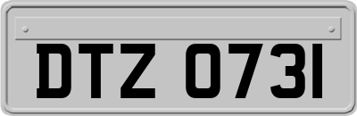 DTZ0731