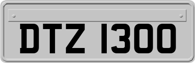 DTZ1300