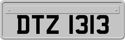 DTZ1313
