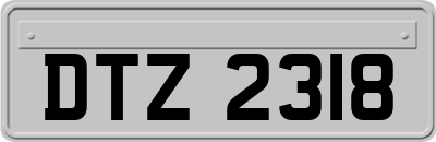 DTZ2318