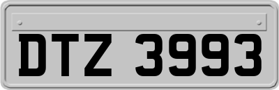 DTZ3993