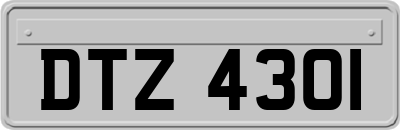 DTZ4301