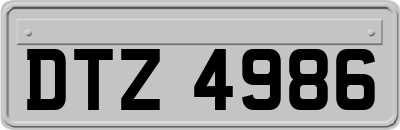 DTZ4986