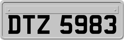 DTZ5983