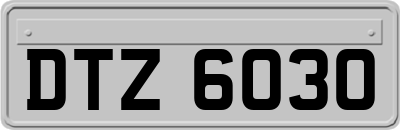 DTZ6030