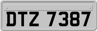 DTZ7387