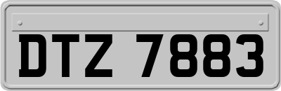 DTZ7883