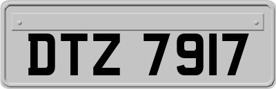 DTZ7917
