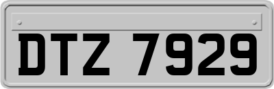 DTZ7929