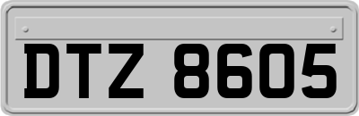 DTZ8605