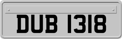 DUB1318