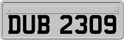 DUB2309