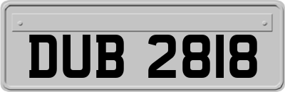 DUB2818