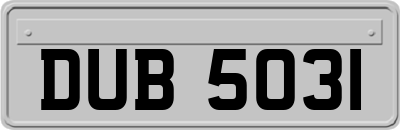 DUB5031