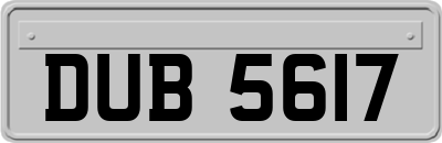 DUB5617