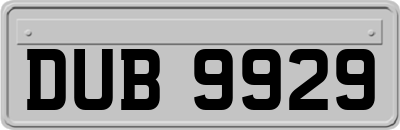 DUB9929