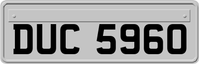 DUC5960